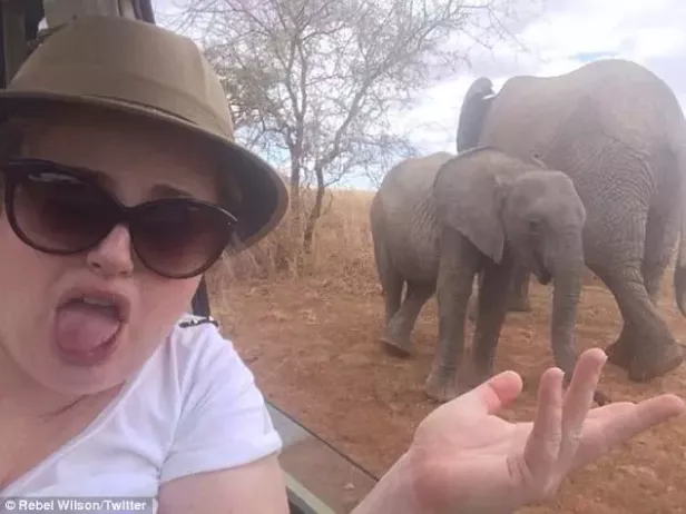 Australische Schauspielerin Rebel Wilson in Afrika entführt
