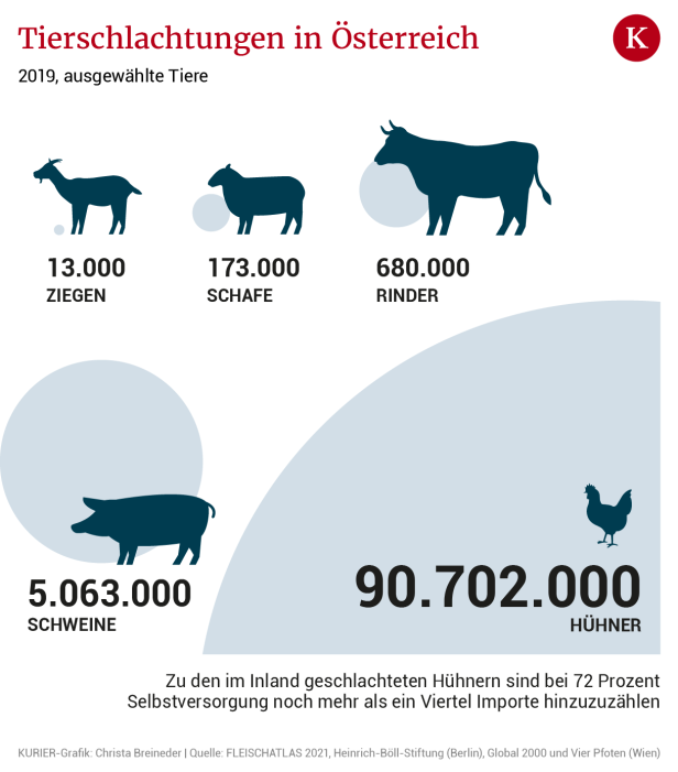 Klimafaktor Fleisch: So viele Tiere werden bei uns geschlachtet