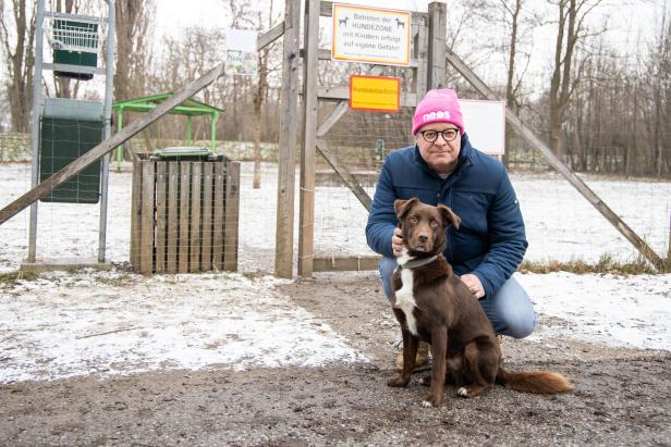 Neos-Spitzenkandidat in St. Pölten: "Einzige Hundezone ist verwahrlost"