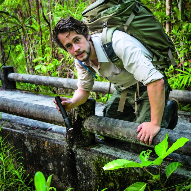 Dschungelcamp für Fotoprofis: "Wildlife" im Visier