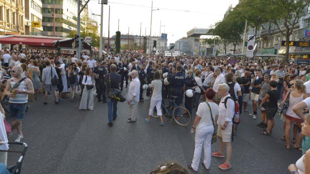 20.000 Menschen bei "Demo Blanche" für Flüchtlinge