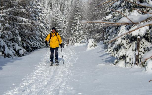 Winterwanderland: Auf Langlaufski und Schneeschuh nach Mariazell