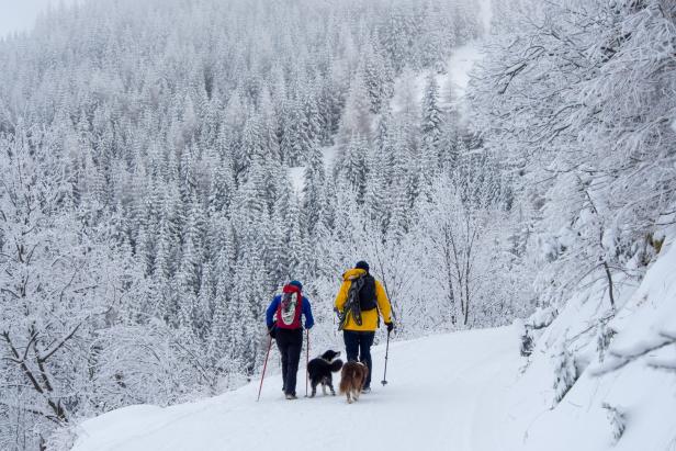 Winterwanderland: Auf Langlaufski und Schneeschuh nach Mariazell