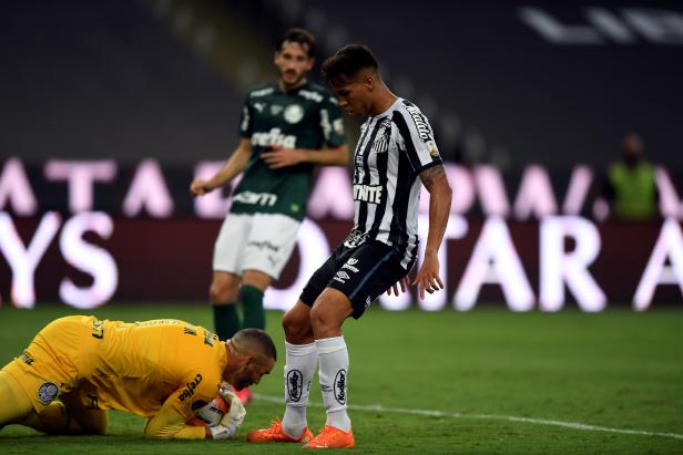 Palmeiras vs. Santos