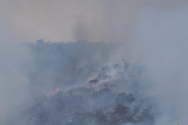 Es brennt wieder in Australien: Angst vor Vorjahres-Katastrophe