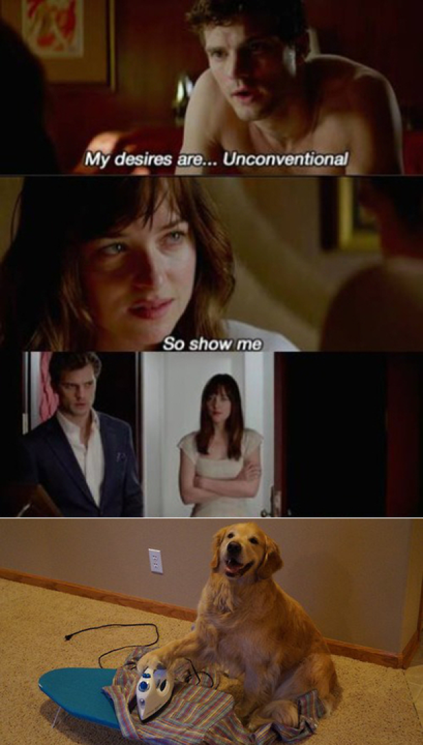 Ein Golden Retriever sitzt an einem Bügelbrett und hält ein Bügeleisen.