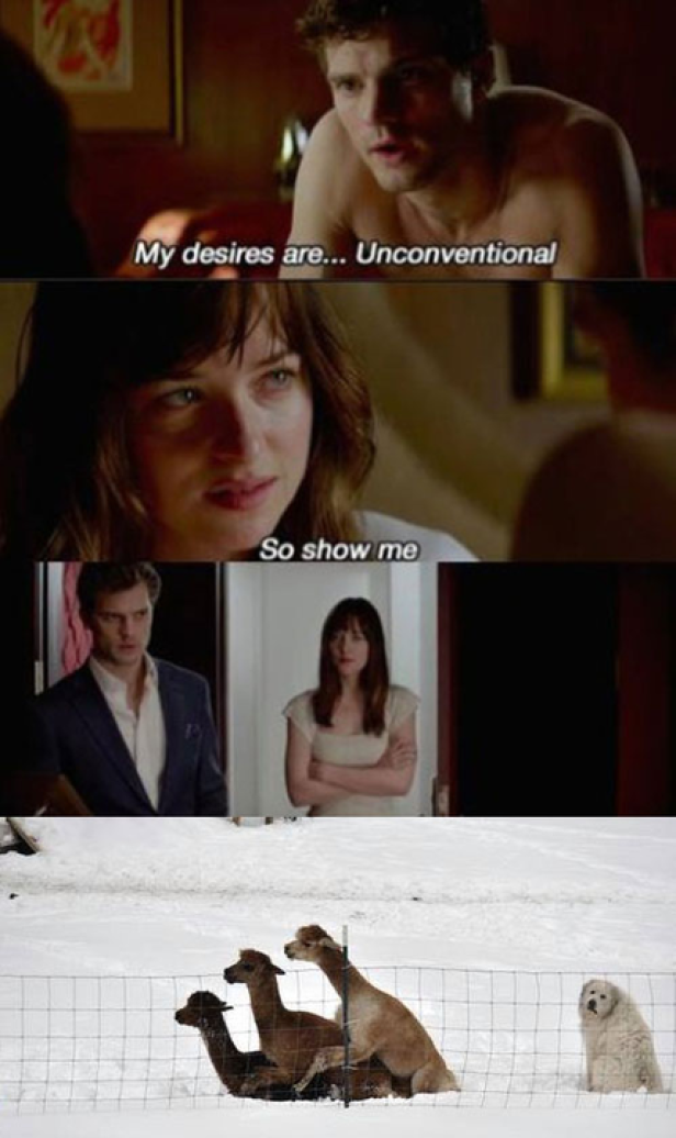 Ein mehrteiliges Bild zeigt Szenen aus „Fifty Shades of Grey“ und eine Gruppe Alpakas im Schnee.