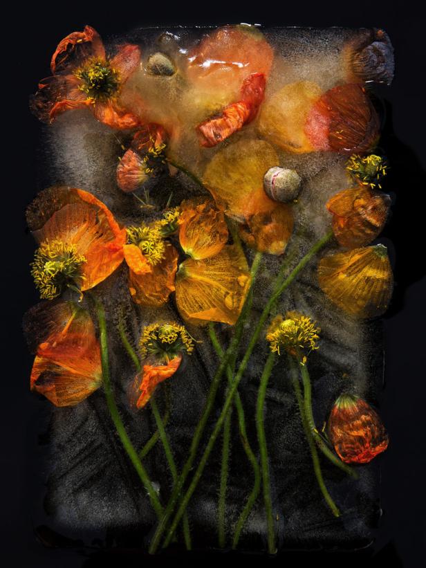 Die schönsten künstlerischen Blumengrüße zwischen Papier und Eis