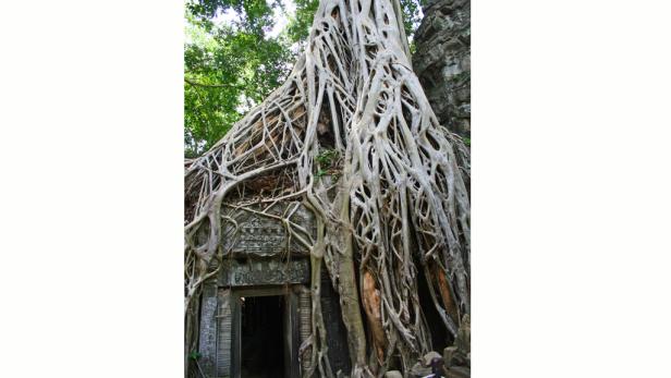 Kambodscha: Paläste der Könige