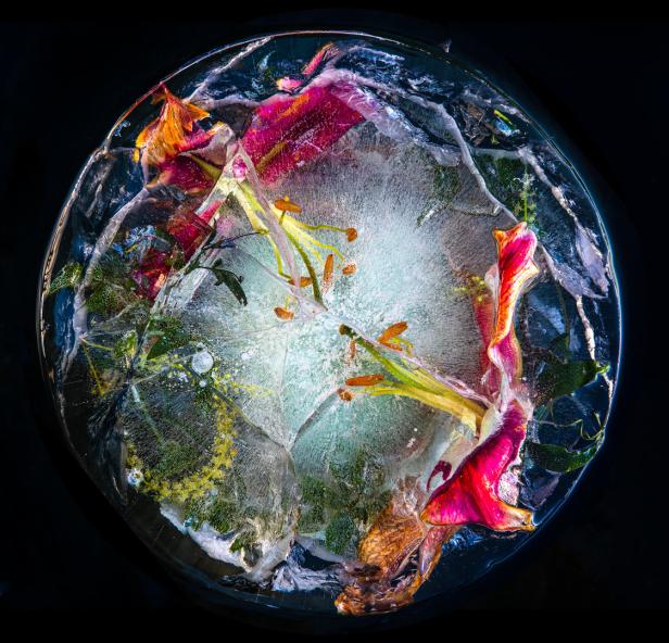 Die schönsten künstlerischen Blumengrüße zwischen Papier und Eis