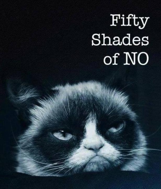 Eine mürrisch dreinblickende Katze vor einem dunklen Hintergrund mit dem Text „Fifty Shades of NO“.