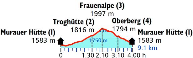 Schneeschuhwandern in der Steiermark