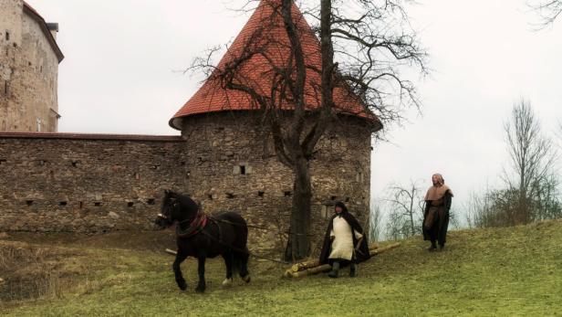Knappe oder Burgfräulein auf Zeit