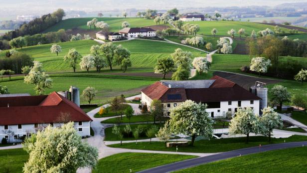 Von Birnen, Burgen und Baronen