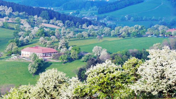 Von Birnen, Burgen und Baronen