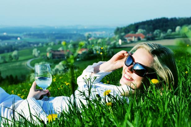 Von Birnen, Burgen und Baronen