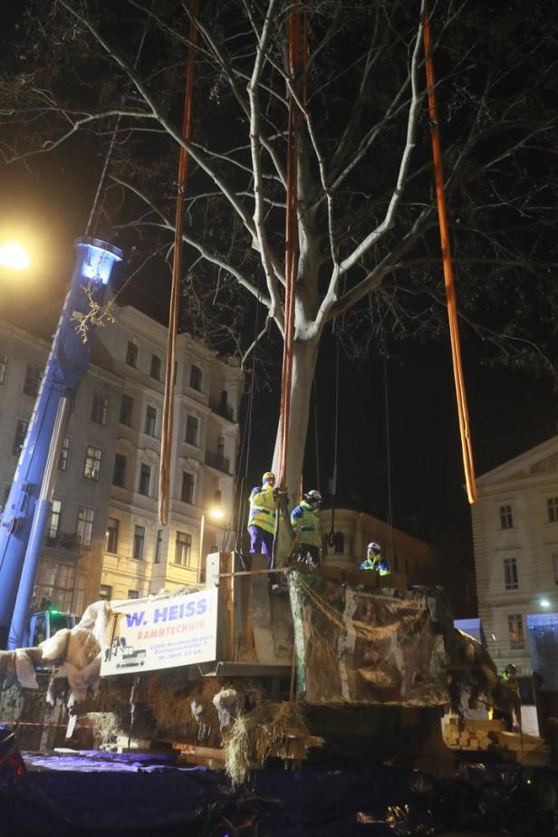 Ein 60-Tonnen-Baum schwebte durch die Wiener Nacht