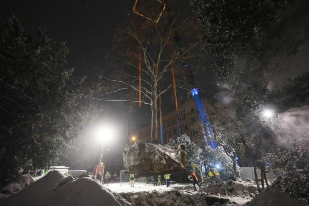 Ein 60-Tonnen-Baum schwebte durch die Wiener Nacht