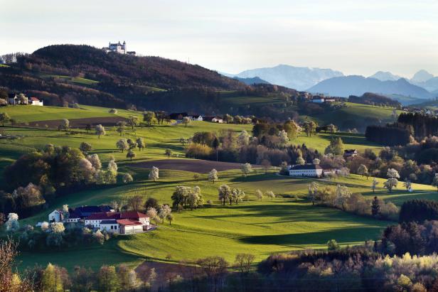 Von Birnen, Burgen und Baronen