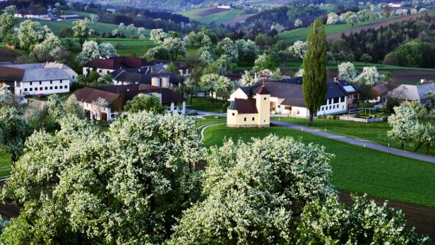 Von Birnen, Burgen und Baronen