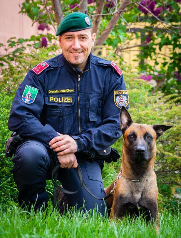 Polizeihund "Geronimo" ortete Abgängige in Bruck/Leitha