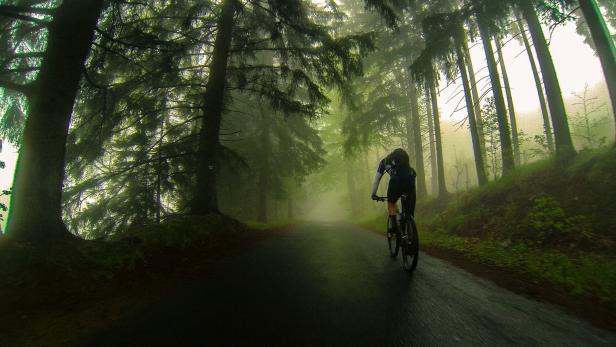 MTB ride in the woods