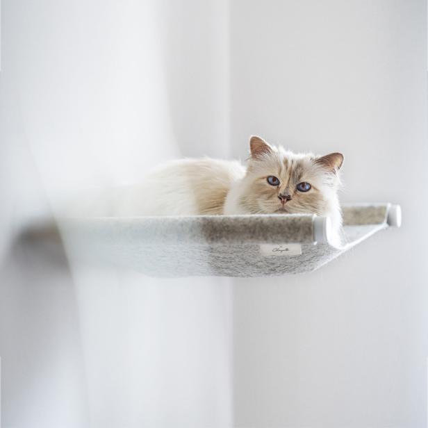 Was macht eigentlich Karl Lagerfelds Katze Choupette?