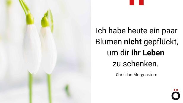 Ich habe heute ein paar Blumen nicht gepflückt, um dir ihr Leben zu schenken. Christian Morgenstern 