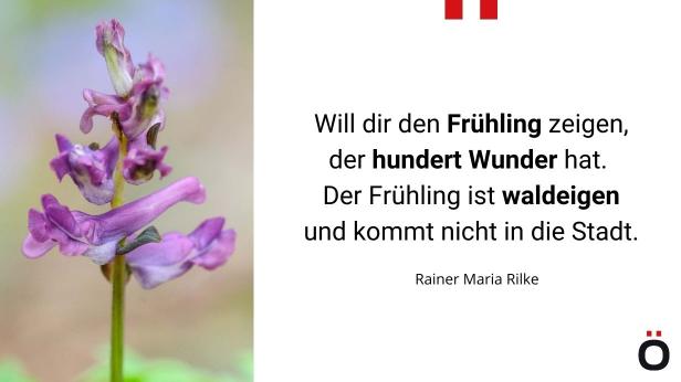 Will dir den Frühling zeigen, der hundert Wunder hat. Der Frühling ist waldeigen und kommt nicht in die Stadt. Rainer Maria Rilke