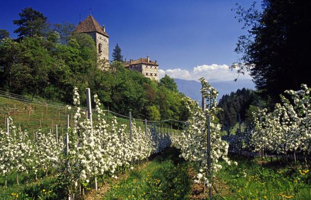 Wo schon jetzt Frühling ist und wo er bald hinkommt