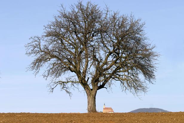 Pöllauberg: Die Aussichtsterrasse der Oststeiermark