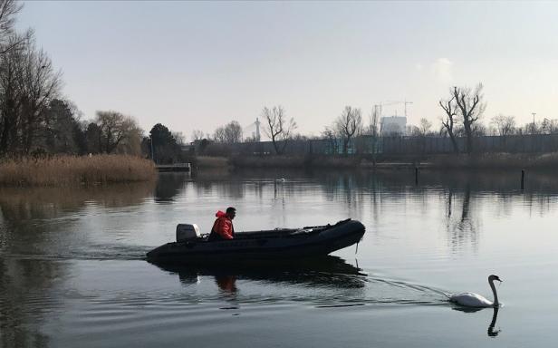 Donaukanal: Polizei befreit Schwan von Angelhaken