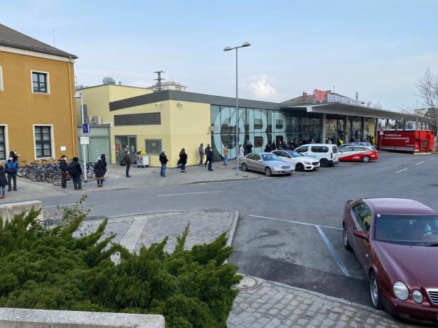 Wiener Neustadt: Lange Warteschlangen bei den Teststraßen