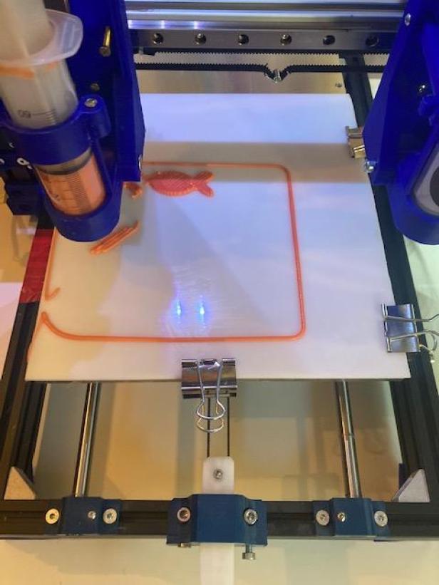 Verkostung: Wie 3D-gedruckter Lachs auf Pflanzenbasis schmeckt