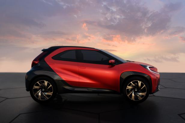 21_03_11_aygo-cross_003-lowres.jpeg