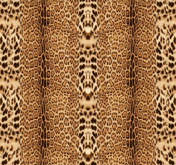 Detailaufnahme eines Leopardenfells mit seinem charakteristischen Fleckenmuster.