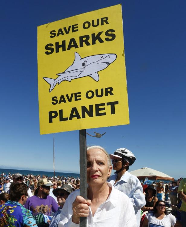 Eine Frau hält ein Schild mit der Aufschrift „Save Our Sharks, Save Our Planet“ bei einer Demonstration.