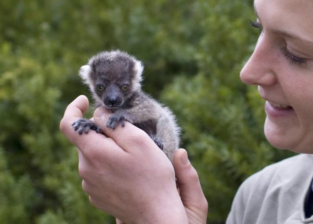 Ein Flascherl für das Känguru