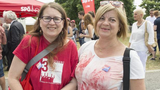 (Kein) Wahlkampf auf der Insel