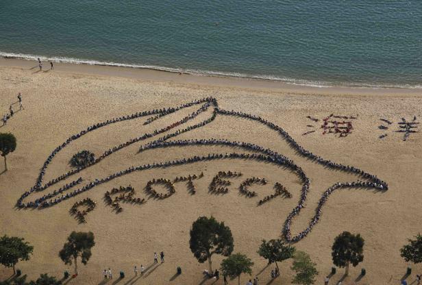 Menschen formen am Strand einen Delfin und das Wort „Protect“.