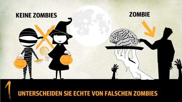 Wie Sie die Zombieapokalypse überleben
