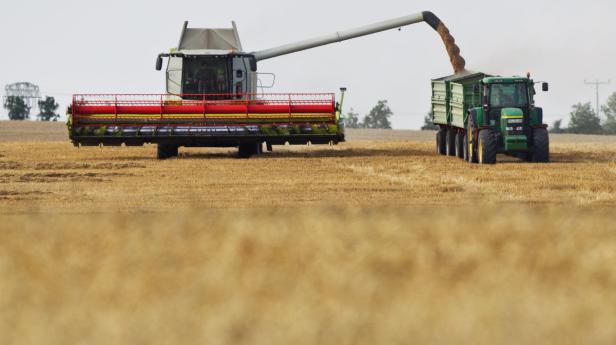 Landwirtschaft in Ostdeutschland