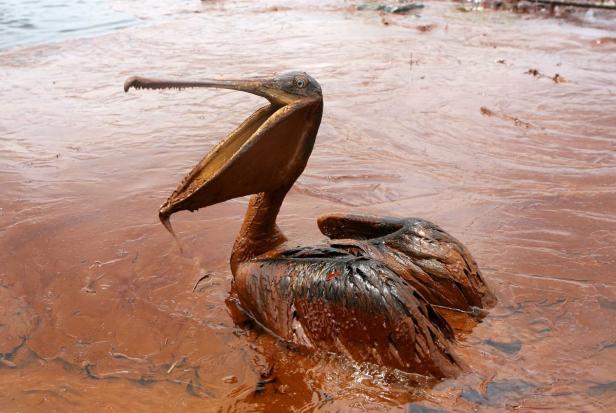 "Kulluk": Shell-Ölbohrinsel beschädigt