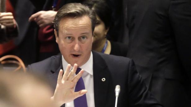 David Cameron gestikuliert während einer Rede.