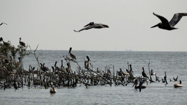 "Kulluk": Shell-Ölbohrinsel beschädigt