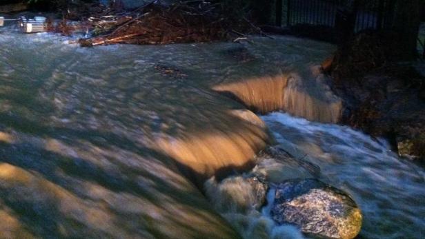 Ein schnell fließender Bach über Felsen und Baumstämme.