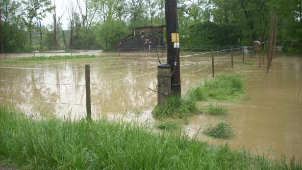 Ein überflutetes Feld mit einem Zaun und einem Strommast im Wasser.