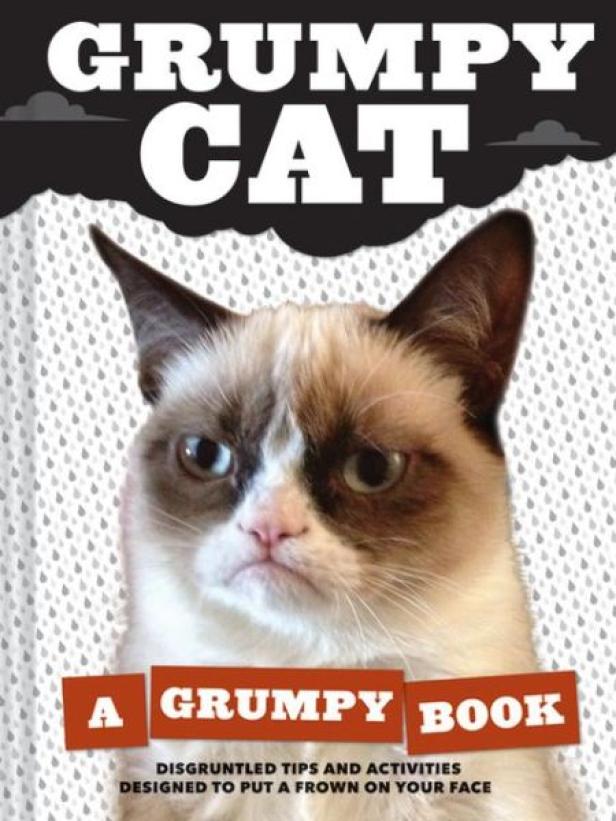 "Grumpy Cat": 100 Millionen Dollar in zwei Jahren