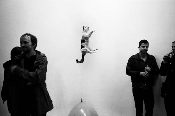 Eine schwebende Katze, die an einem Ballon hängt, vor einer Wand mit Menschen.