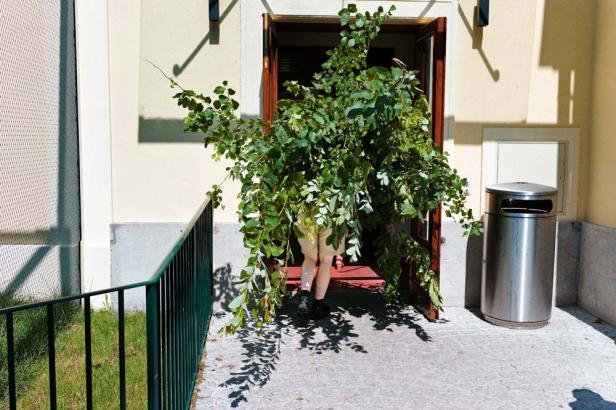 Eine Person trägt einen großen Busch durch eine geöffnete Tür.